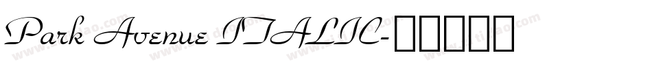 Park Avenue ITALIC字体转换